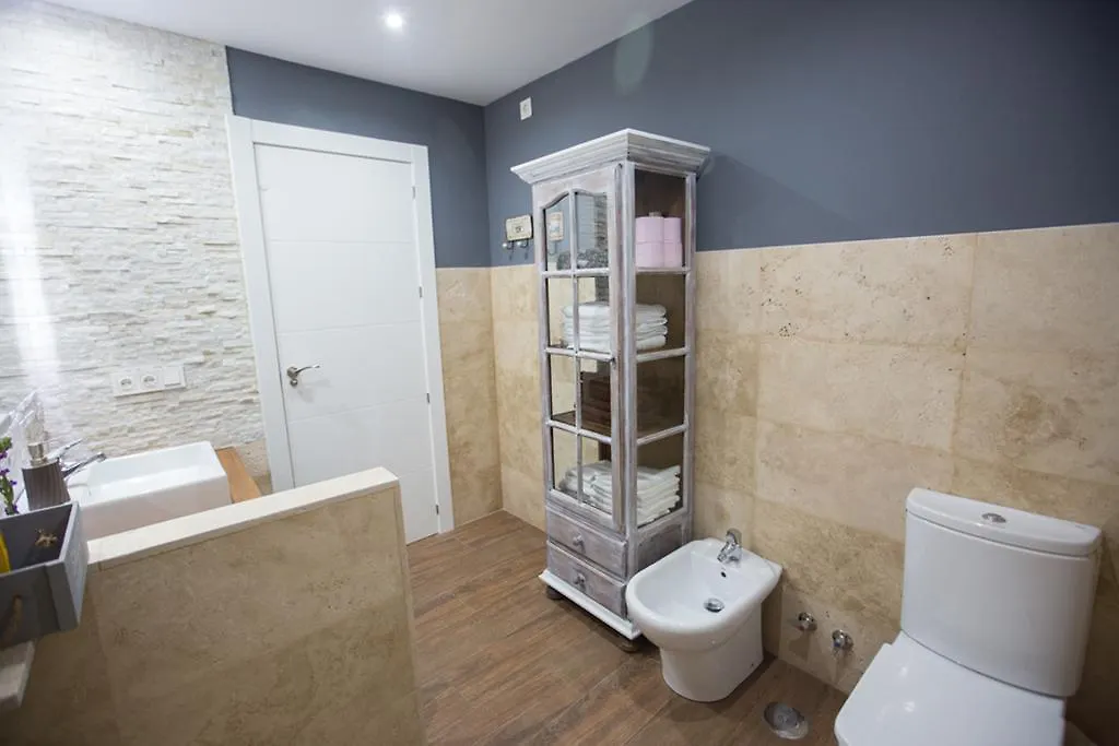 Atico Aligma Apartment Granada